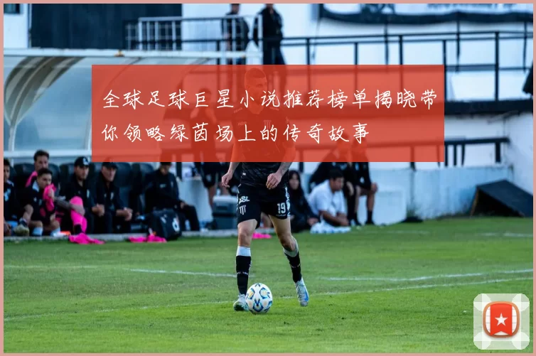 全球足球巨星小说推荐榜单揭晓带你领略绿茵场上的传奇故事
