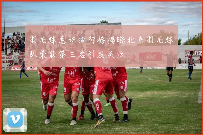 羽毛球意识排行榜揭晓北京羽毛球队荣获第三名引发关注