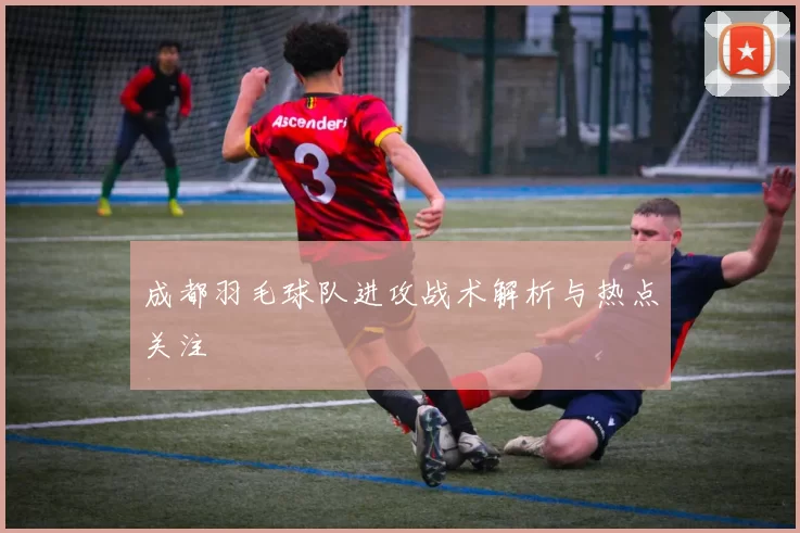 成都羽毛球队进攻战术解析与热点关注