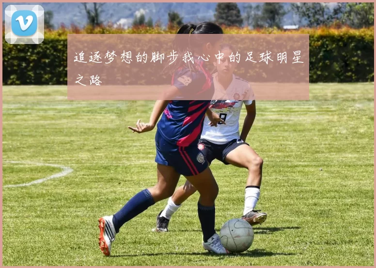 追逐梦想的脚步我心中的足球明星之路
