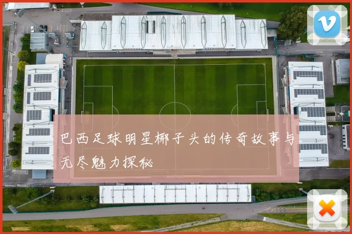 巴西足球明星椰子头的传奇故事与无尽魅力探秘