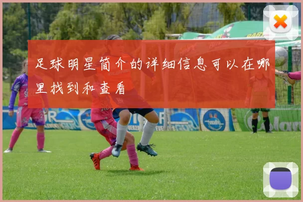 足球明星简介的详细信息可以在哪里找到和查看