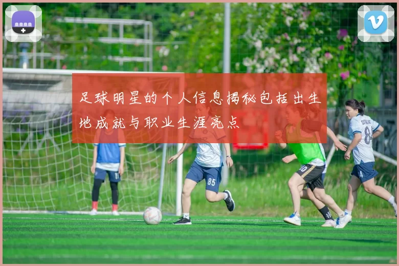 足球明星的个人信息揭秘包括出生地成就与职业生涯亮点