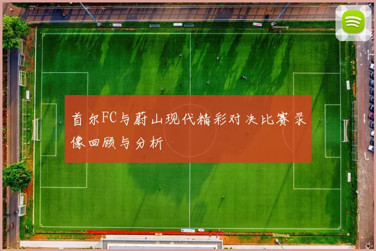 首尔FC与蔚山现代精彩对决比赛录像回顾与分析