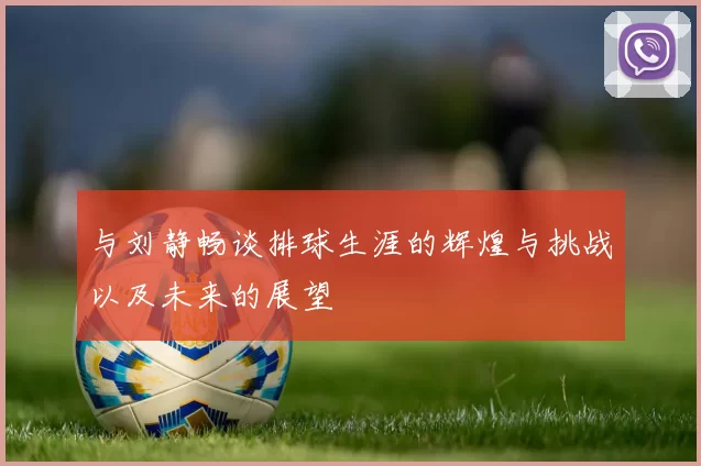 与刘静畅谈排球生涯的辉煌与挑战以及未来的展望