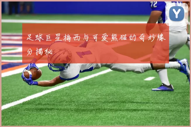 足球巨星梅西与可爱熊猫的奇妙缘分揭秘