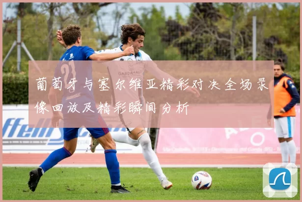 葡萄牙与塞尔维亚精彩对决全场录像回放及精彩瞬间分析