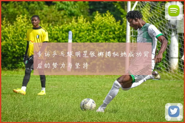 专访乒乓球明星张娜揭秘她成功背后的努力与坚持