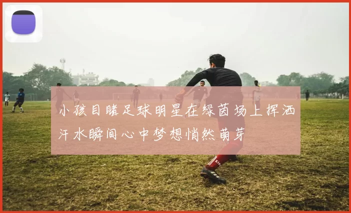 小孩目睹足球明星在绿茵场上挥洒汗水瞬间心中梦想悄然萌芽