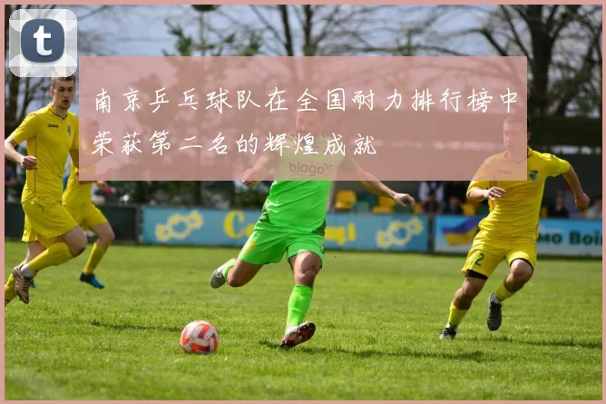 南京乒乓球队在全国耐力排行榜中荣获第二名的辉煌成就
