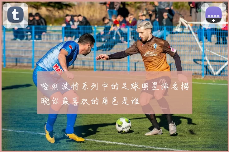 哈利波特系列中的足球明星排名揭晓你最喜欢的角色是谁