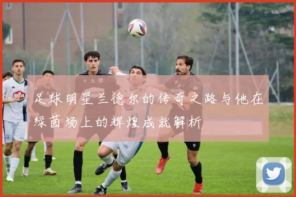 足球明星兰德尔的传奇之路与他在绿茵场上的辉煌成就解析