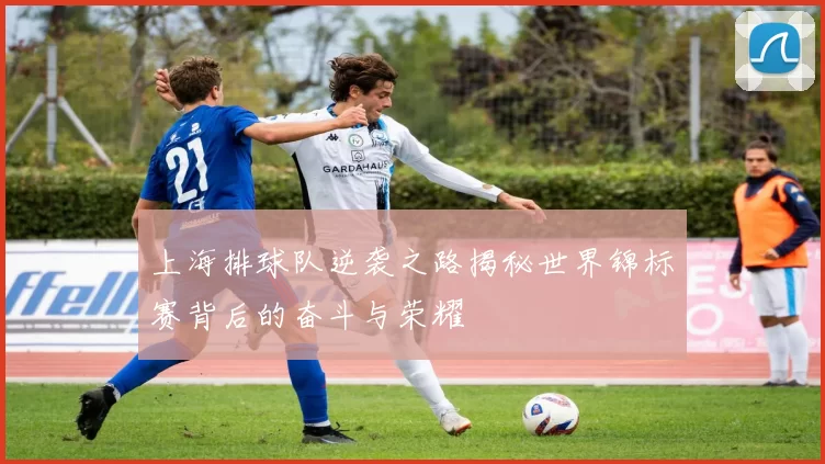 上海排球队逆袭之路揭秘世界锦标赛背后的奋斗与荣耀