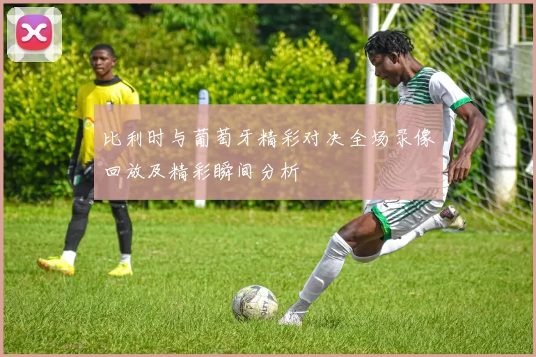 比利时与葡萄牙精彩对决全场录像回放及精彩瞬间分析