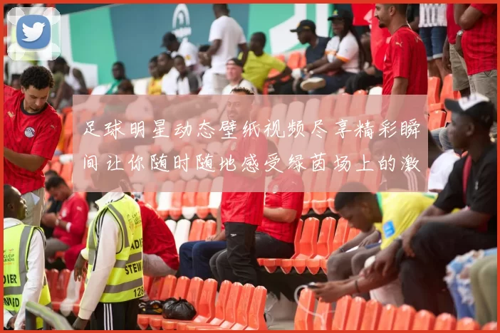 足球明星动态壁纸视频尽享精彩瞬间让你随时随地感受绿茵场上的激情与魅力