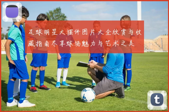 足球明星大摆件图片大全欣赏与收藏指南尽享球场魅力与艺术之美